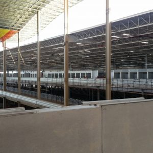 Decorlit para engenheiros